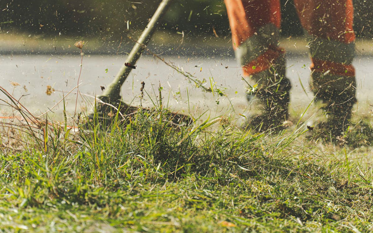 Beste Grasmaaier 2026: Top 10 Getest en Vergeleken