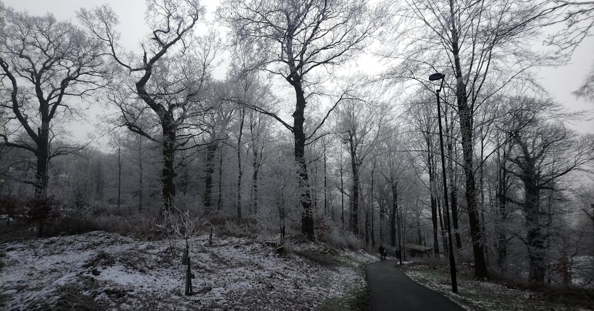 Beste Elektrische Step 2026 | Top 10 Vergeleken